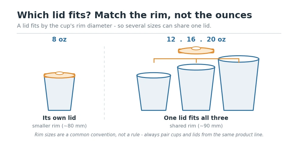 Paper cup lid fit chart: 8 oz cups take their own lid while 12, 16 and 20 oz cups share one lid