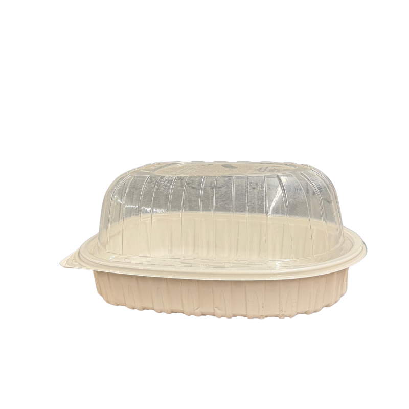chicken-roaster-container-2.png