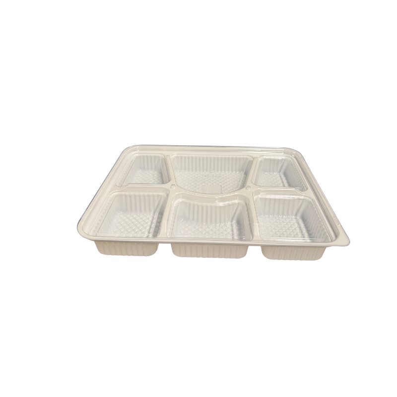 6-compartment-tray-1.png