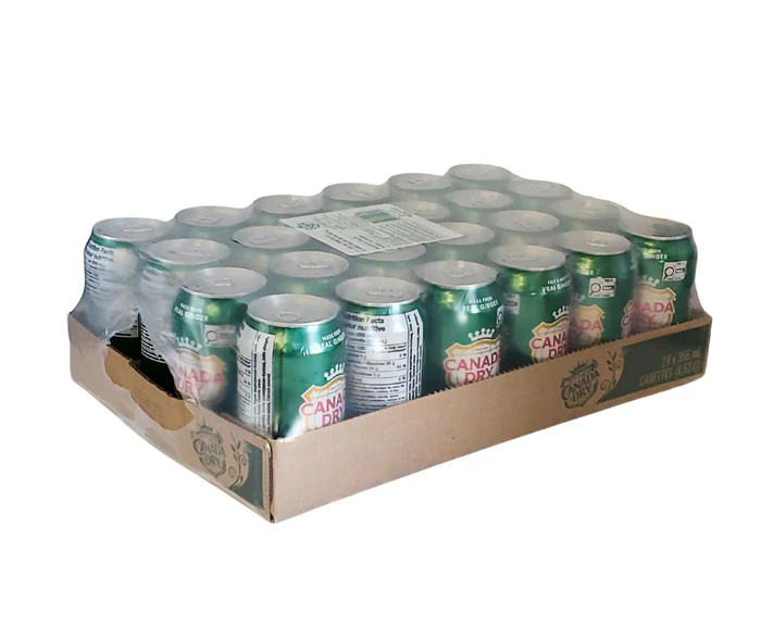 [FJ6003] Gingerale - 24 x 355ml