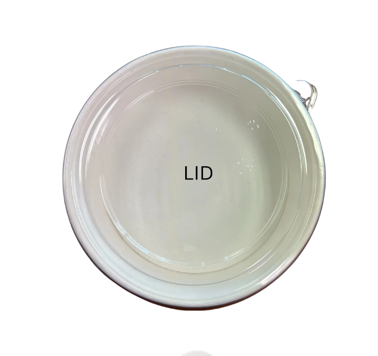 PET LID For 24 To 32 | Bagasse Salad Bowl | 300 Pcs